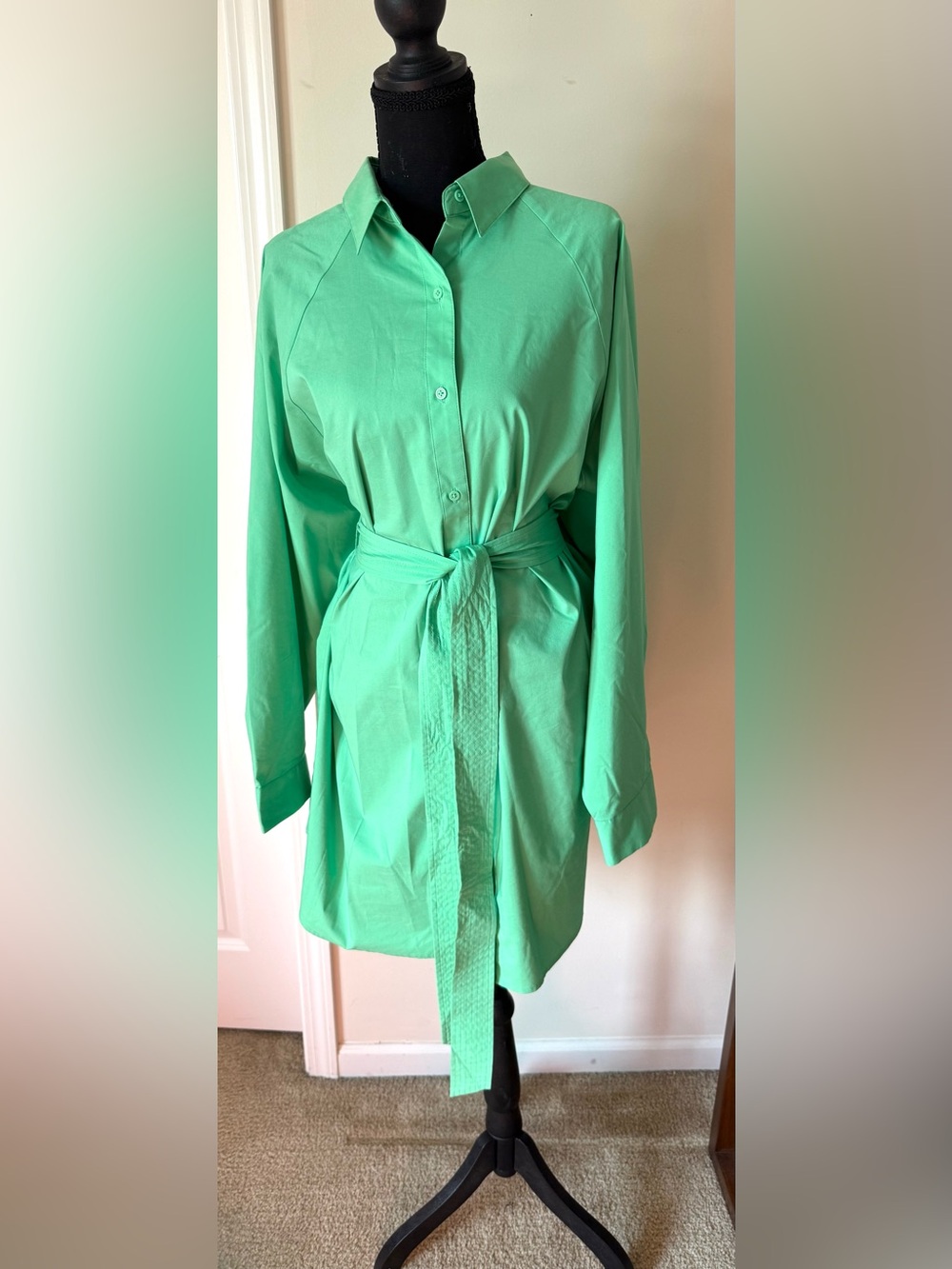 Express Portofino Classic Button-Down Shirtdress - Bright Green